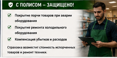 Розница и торговля — Перепад напряжения и разморозка товара — Со страховой защитой